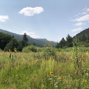 Meet your Posher, Aidan